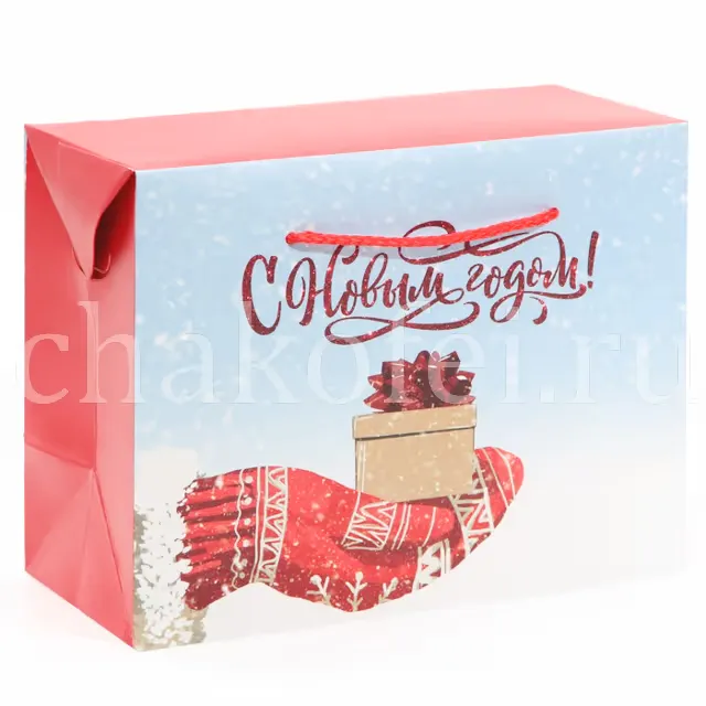 Пакет-коробка 'Новогодний подарочек'